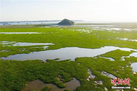 枯水|枯水